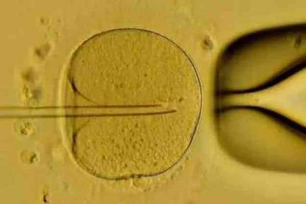 代生公司正规-47岁的女性能不能做试管呢?成功率是多少?