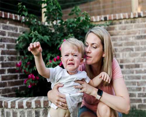 试管胚胎冻胚与囊胚哪个成功率高一些_试管胚胎冻胚与囊胚哪个成功率高一点